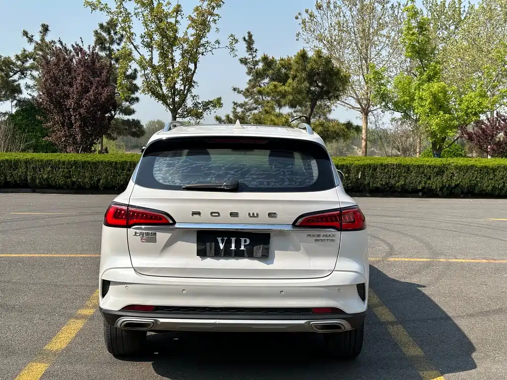 Roewe RX5 MAX 2020 — фото 4