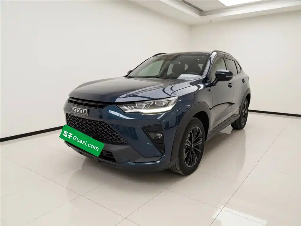 Haval H6S 2022 — фото 2