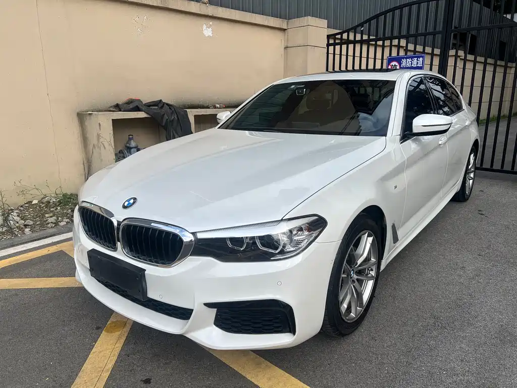BMW 5 Series 2020 — фото 1