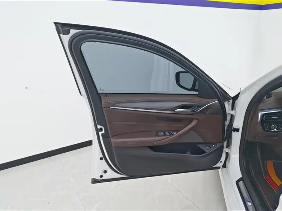 BMW 5 Series New Energy 2022