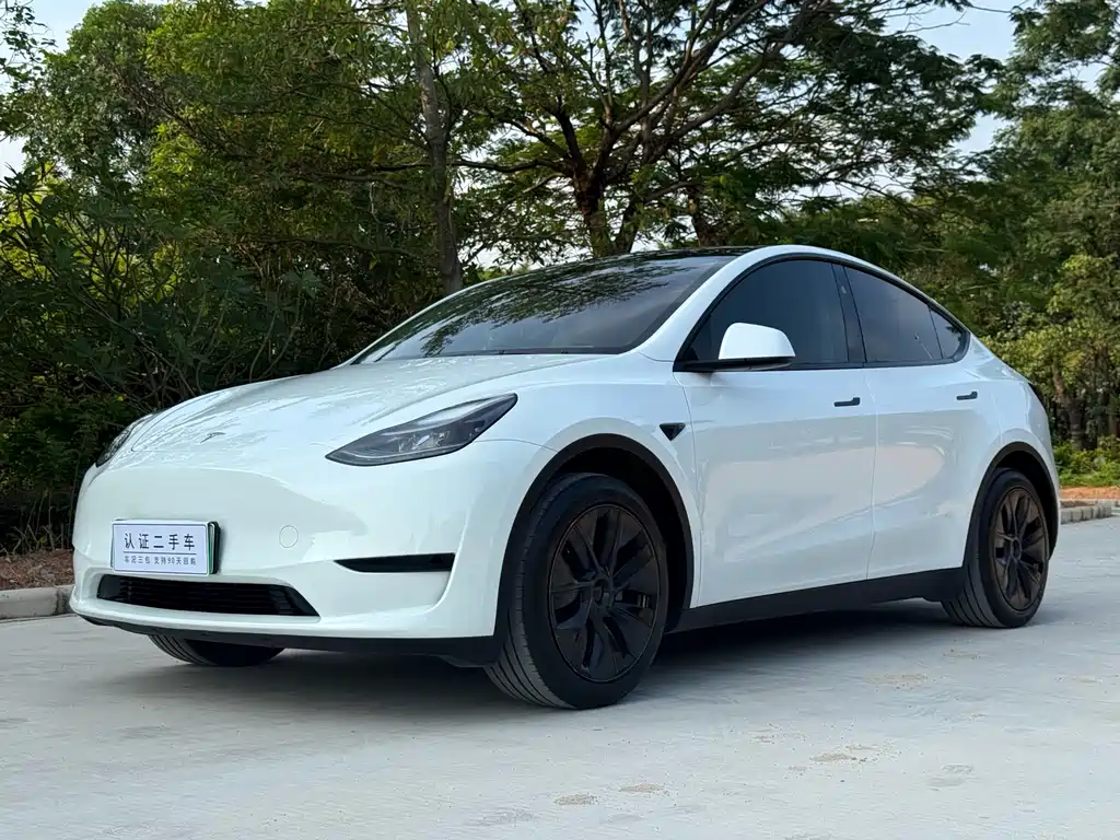 Tesla Model Y 2024 — фото 1