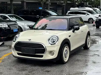 MINI MINI 2020