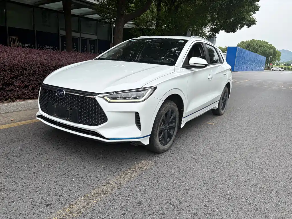 BYD e2 2021