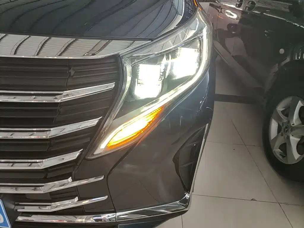 GAC Trumpchi M8 2021 — фото 24