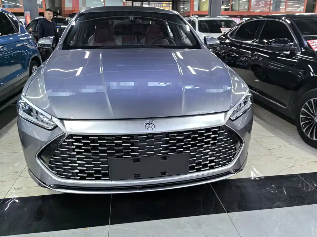 BYD Qin PLUS 2024 — фото 2