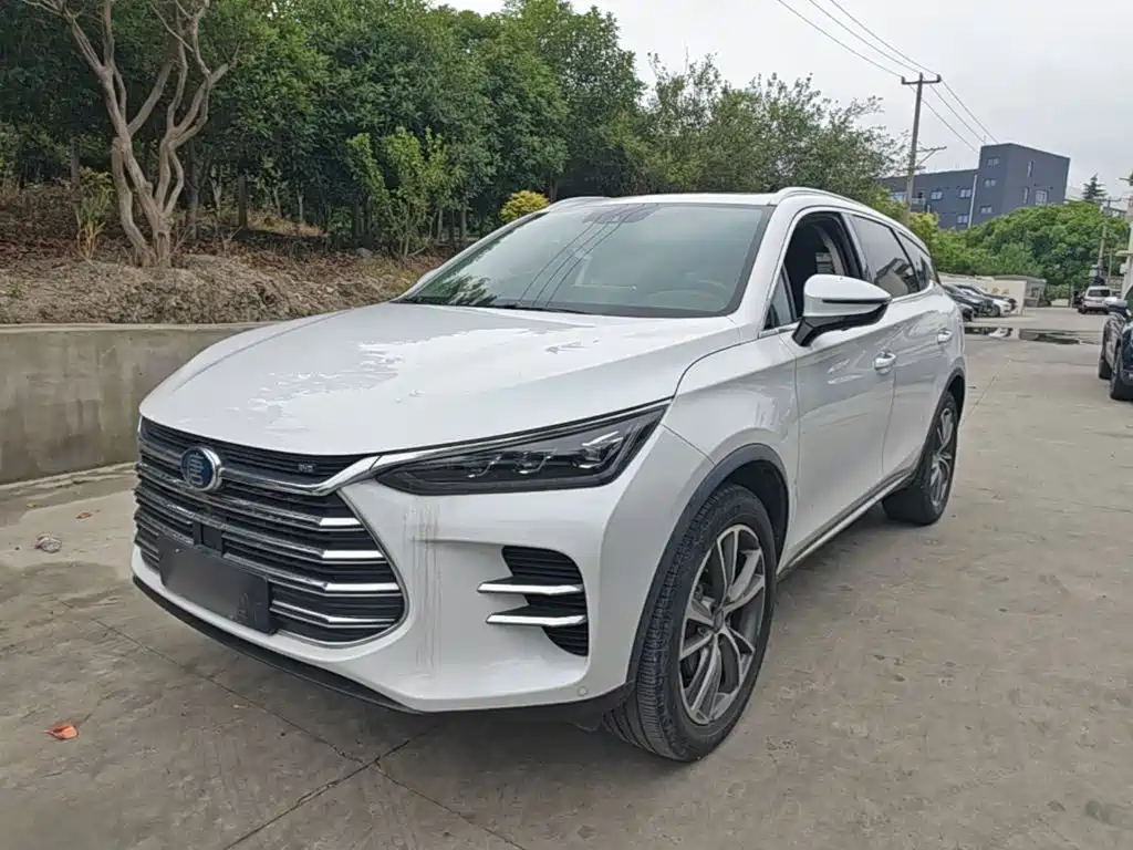 BYD Tang New Energy 2019 — фото 2