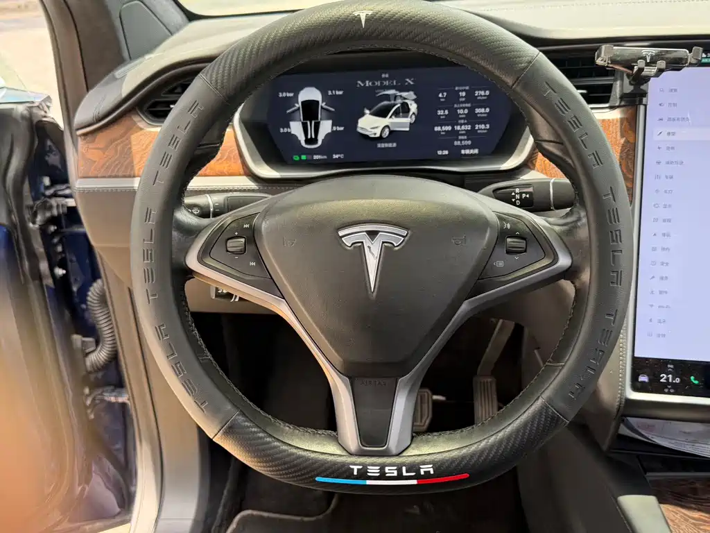 Tesla Model X 2019 — фото 19