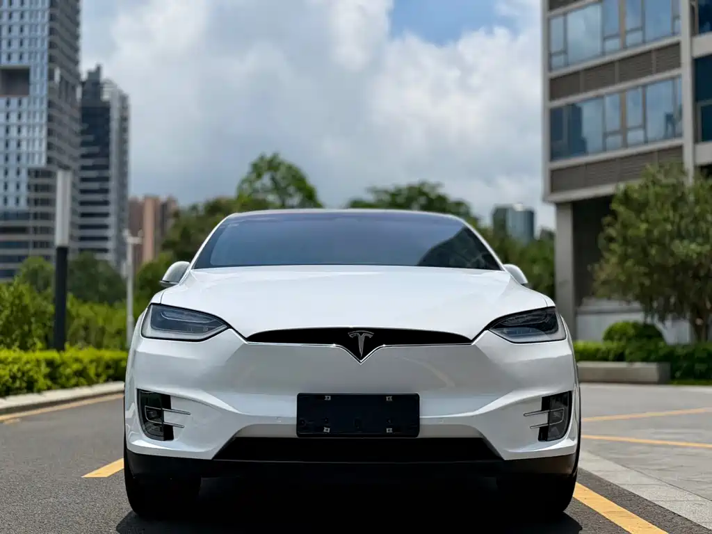 Tesla Model X 2019 — фото 2