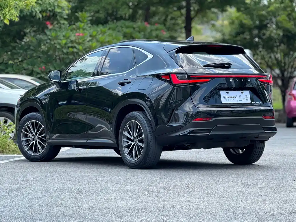 Lexus NX New Energy 2021 — фото 4