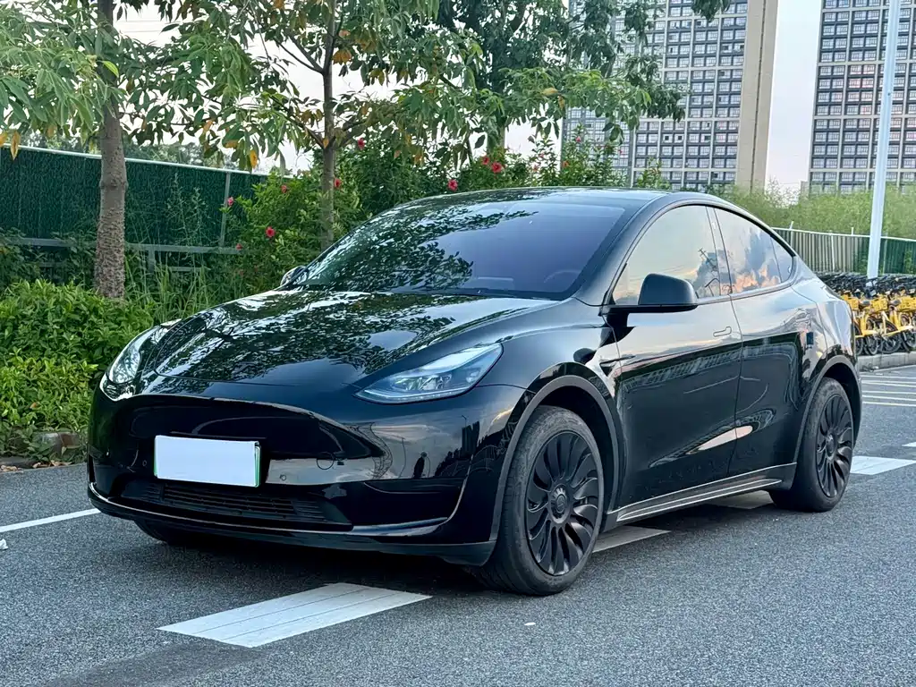 Tesla Model Y 2023 — фото 1