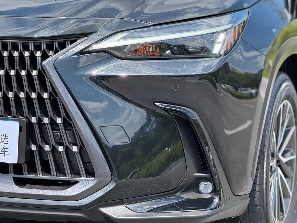 Lexus NX New Energy 2021 — фото 15