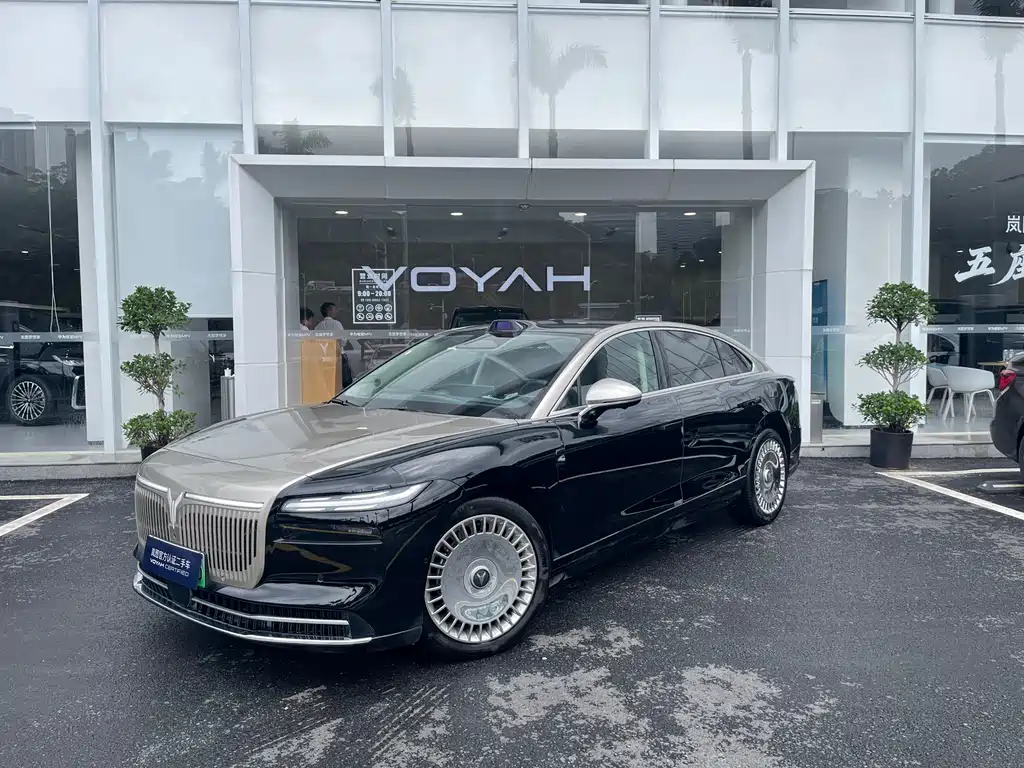 VOYAH Passion L 2025