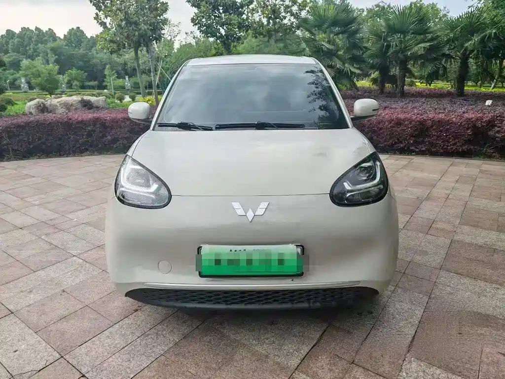 Wuling Bingo 2024