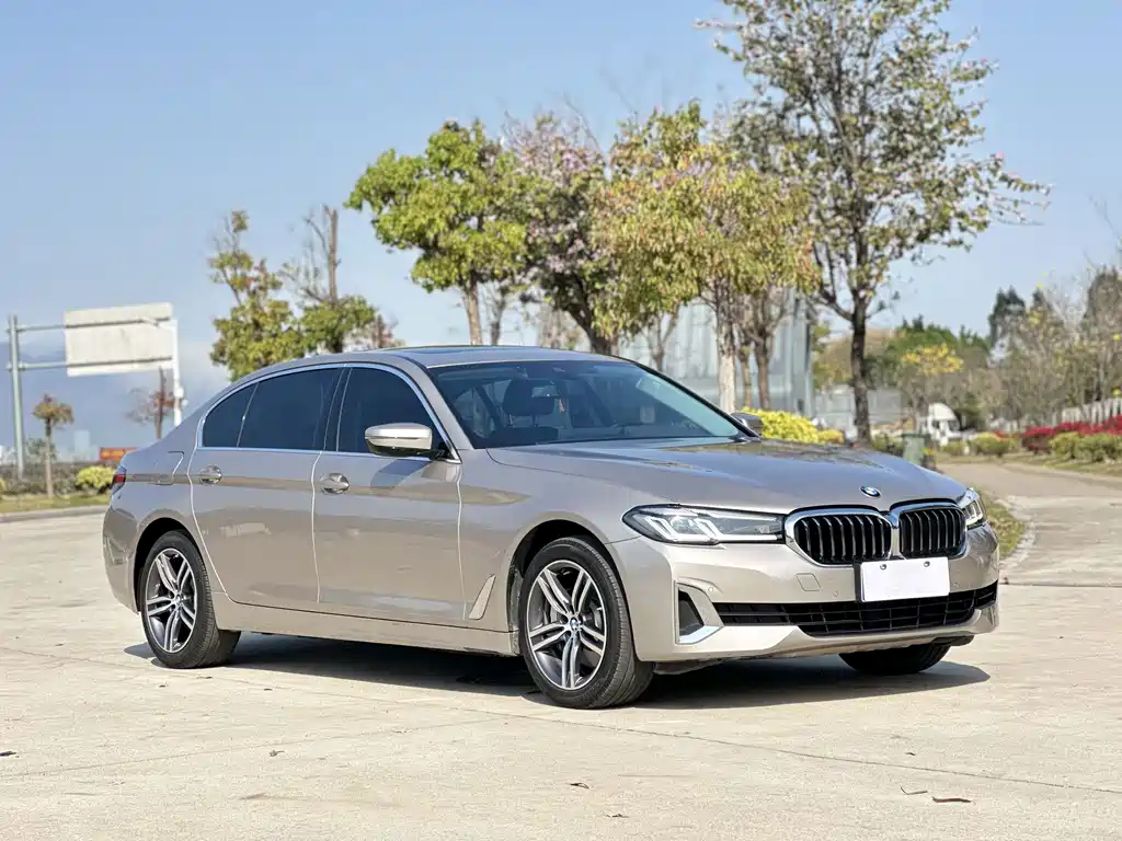BMW 5 Series 2021