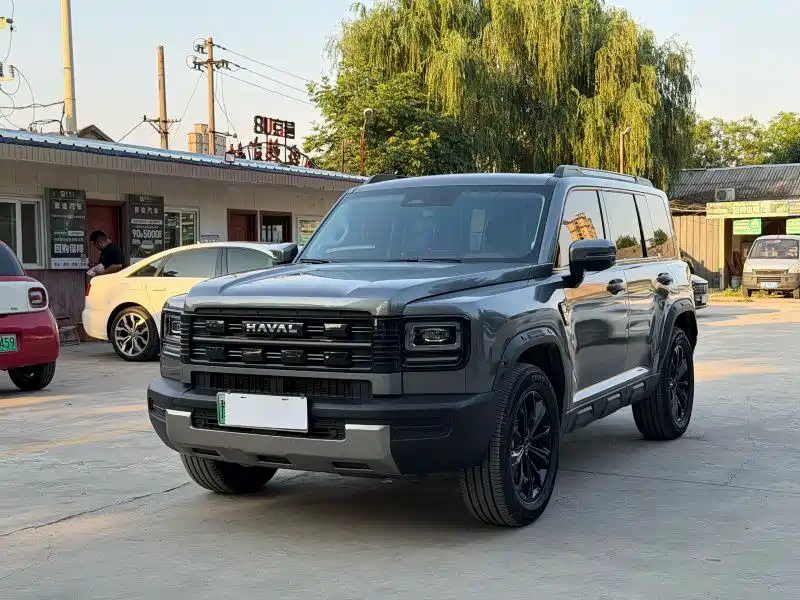Haval Menglong New Energy 2025