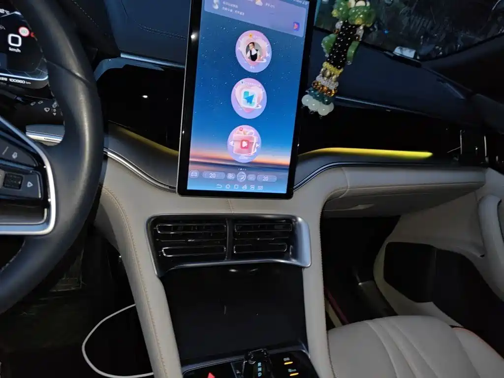 BYD Song PLUS New Energy 2024 — фото 6