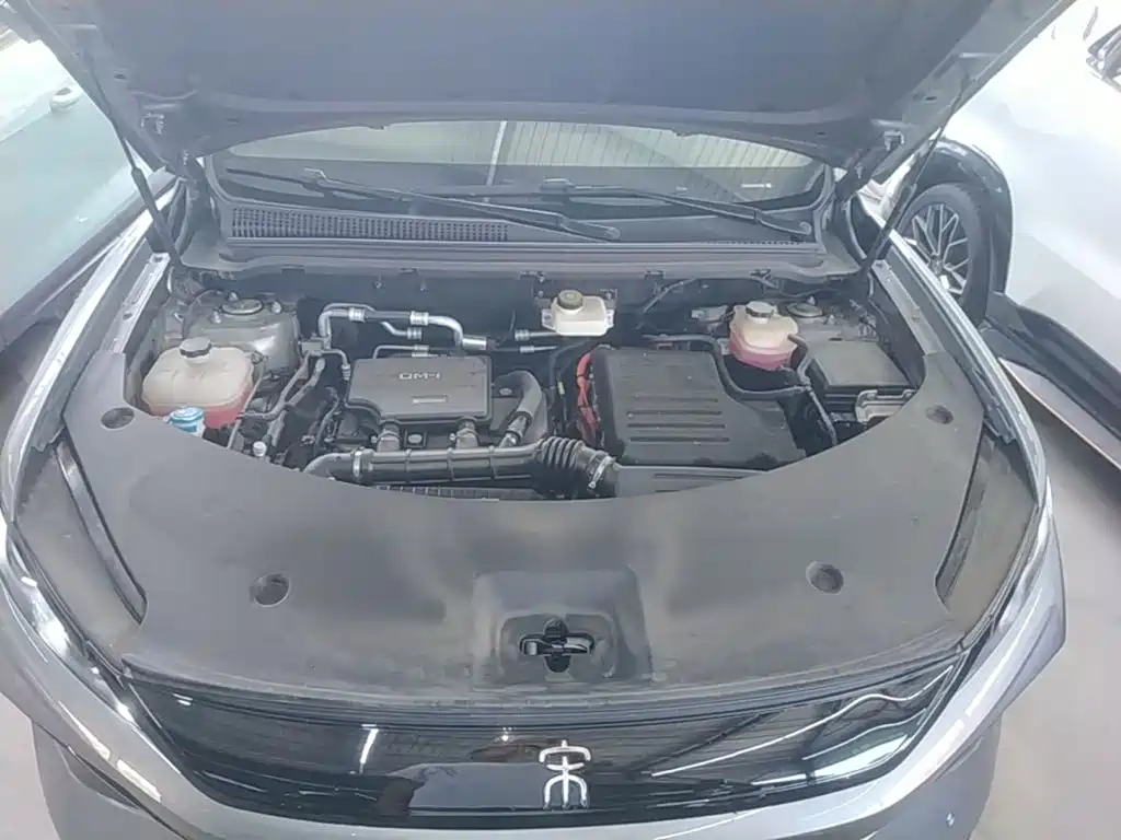 BYD Song Pro New Energy 2025 — фото 20