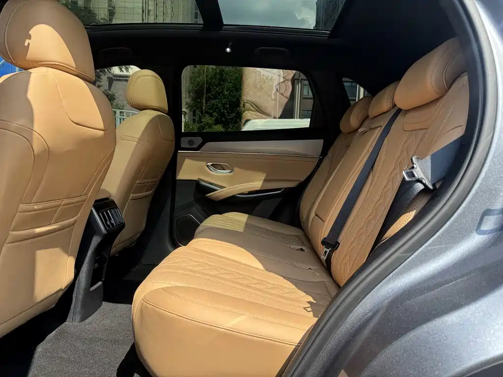 BYD Song L DM-i 2024 — фото 11