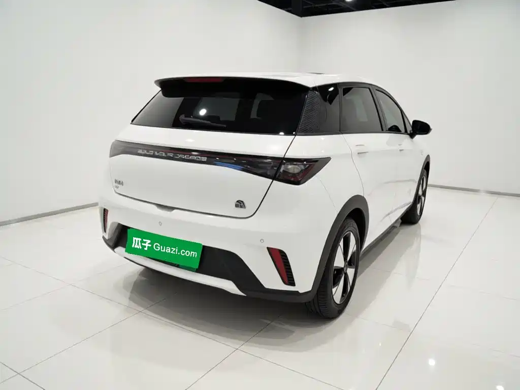 BYD Dolphin 2023 — фото 14