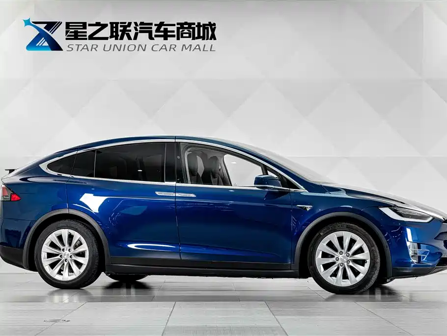 Tesla Model X 2019 — фото 5