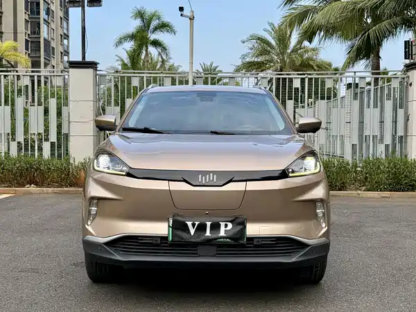 WM Motor EX5 2019