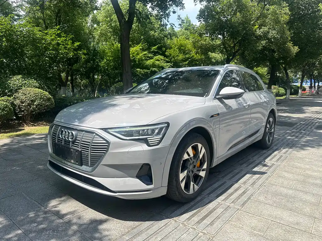 Audi e-tron 2021 — фото 1