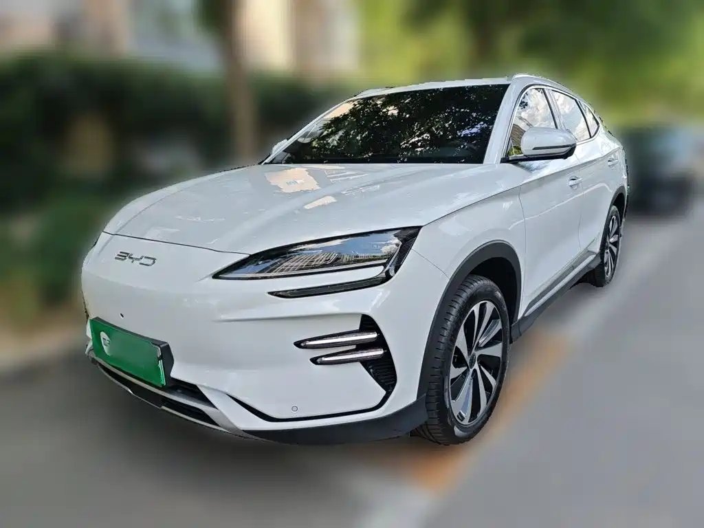 BYD PLUS New Energy 2023 — фото 2