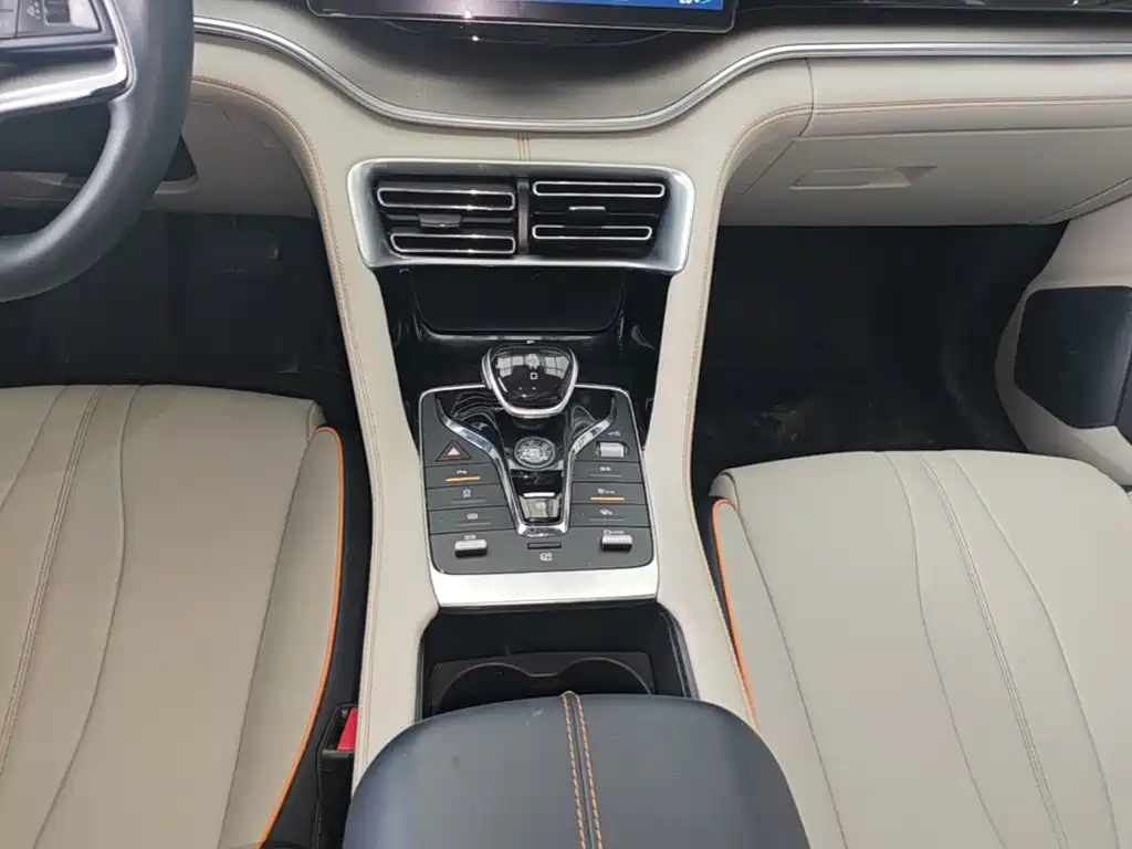 BYD Song PLUS New Energy 2021 — фото 14