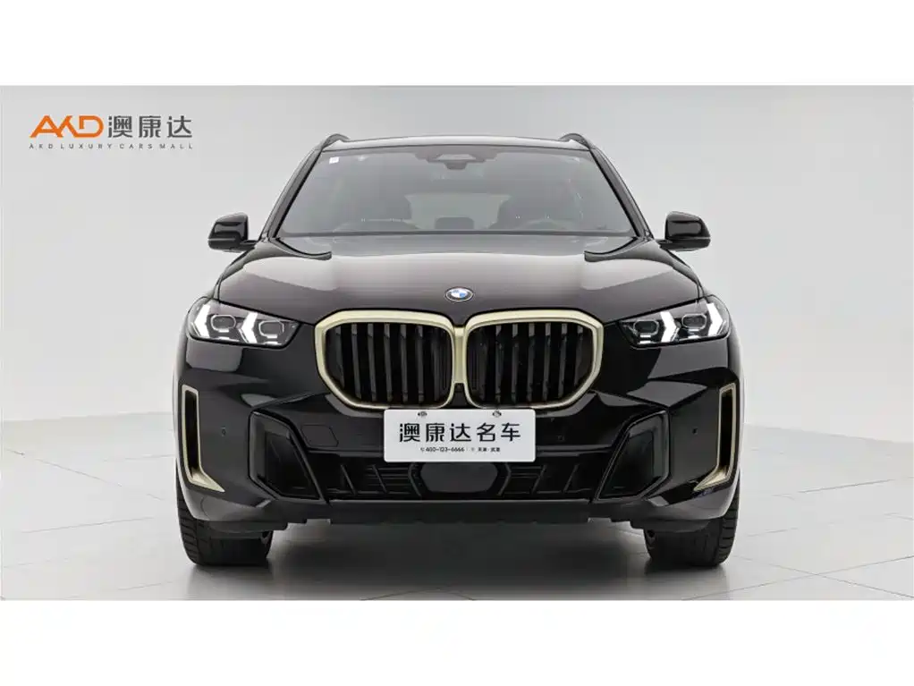 BMW X5 2025