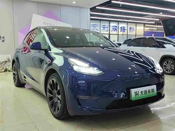 Tesla Model Y 2021