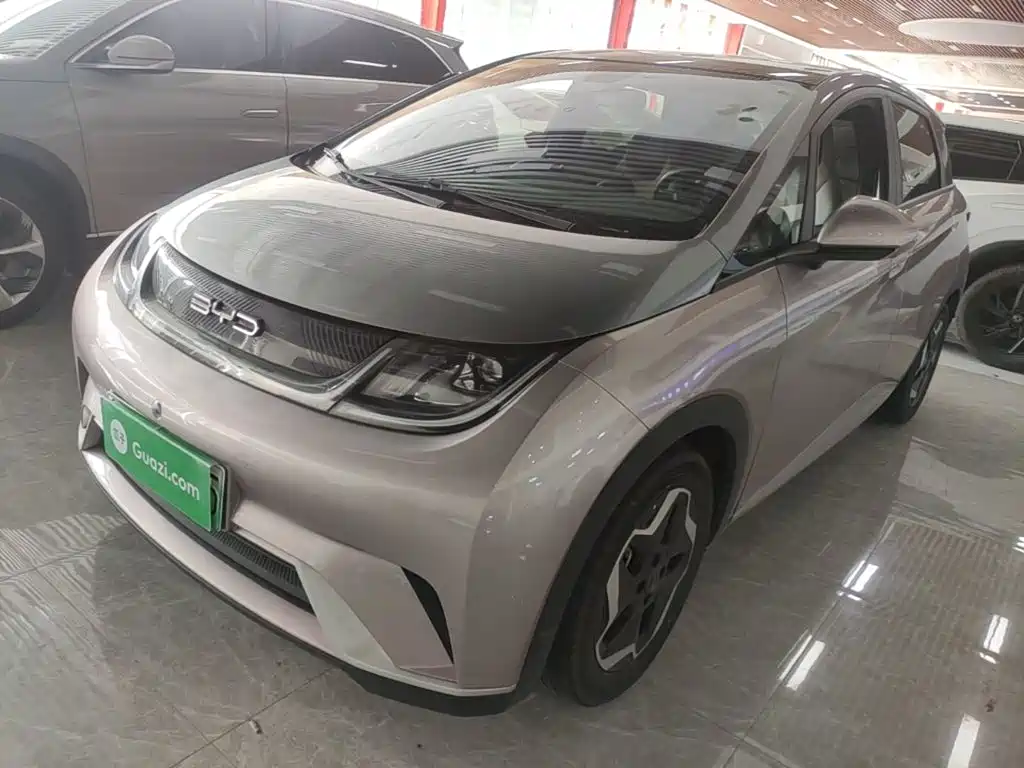 BYD Dolphin 2022