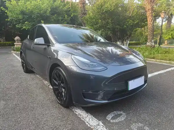Tesla Model Y 2021