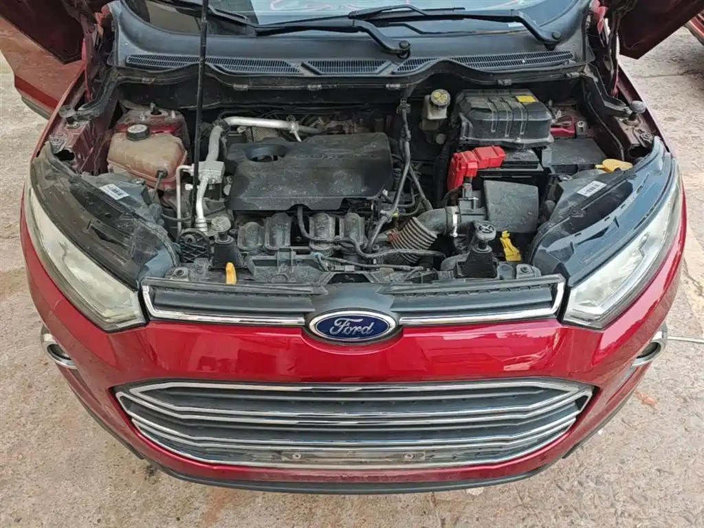 Ford Ecosport 2016 — фото 19