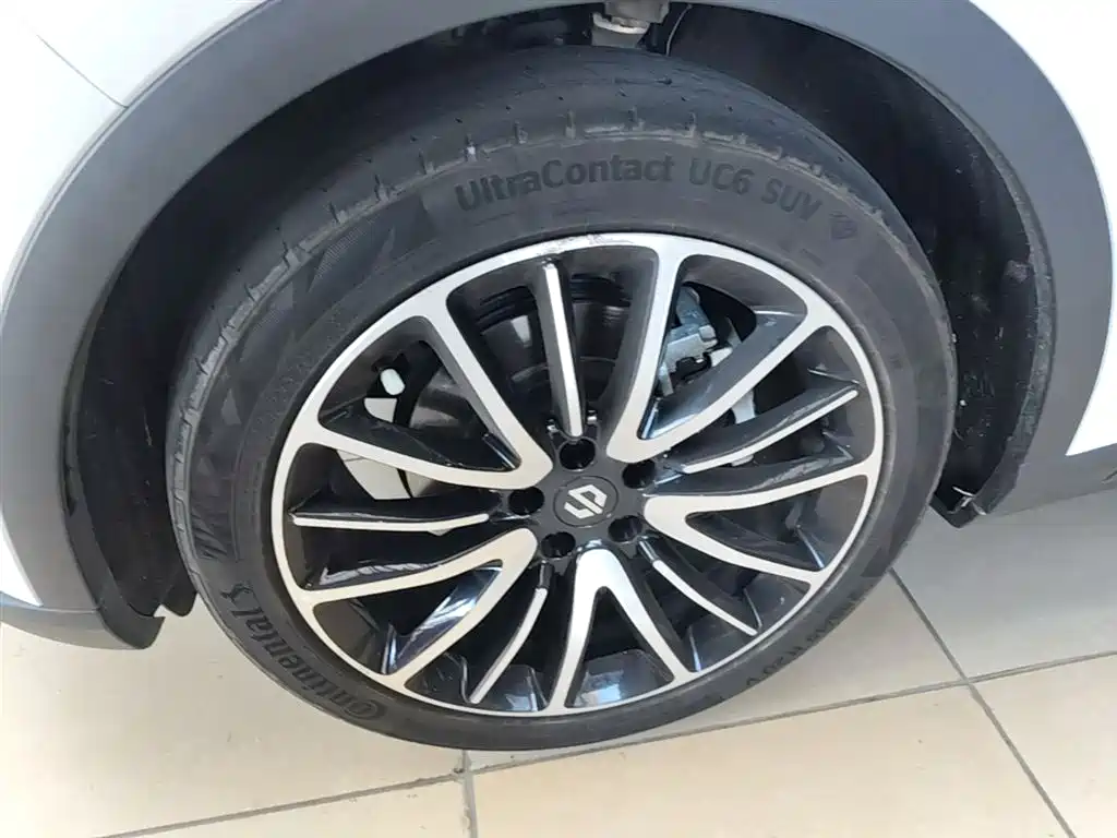 Leapmotor C11 2022 — фото 23