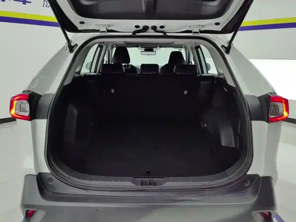 Toyota Wildlander 2021