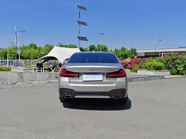 BMW 5 Series New Energy 2021