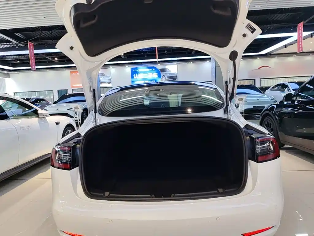 Tesla Model 3 2020 — фото 19