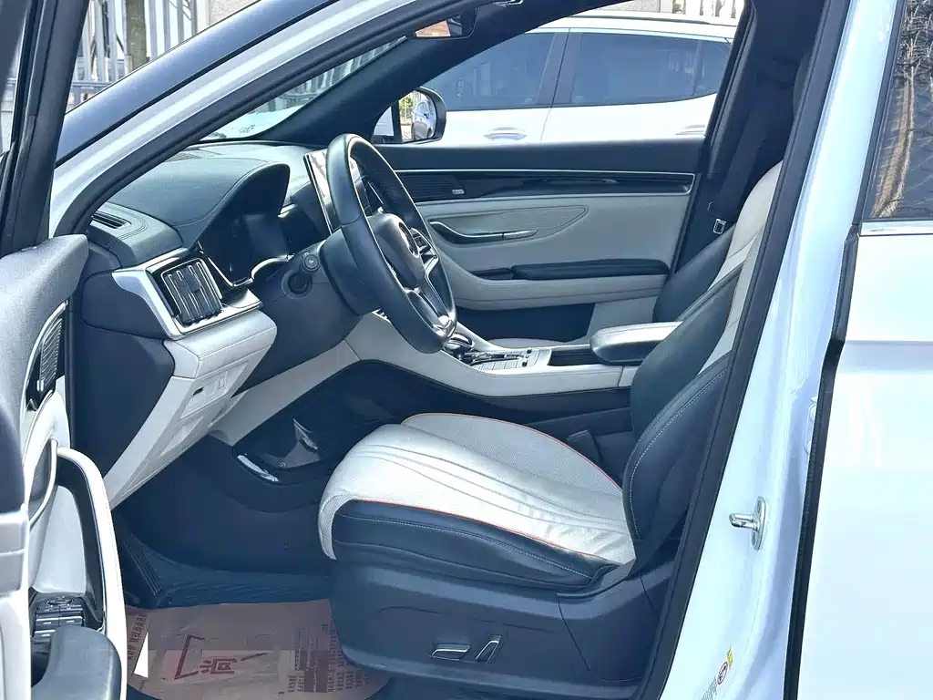 BYD PLUS New Energy 2022 — фото 3