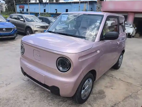 Geely Galaxy Panda 2026
