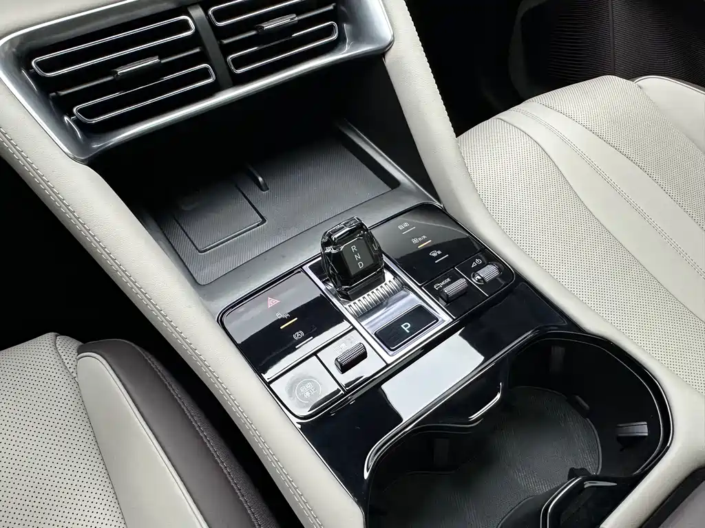 BYD PLUS New Energy 2024 — фото 14