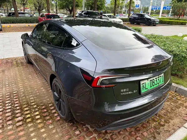 Tesla Model 3 2024