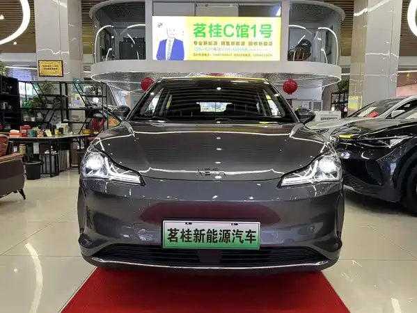 Neta V 2022