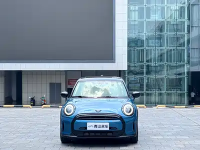 MINI MINI 2021