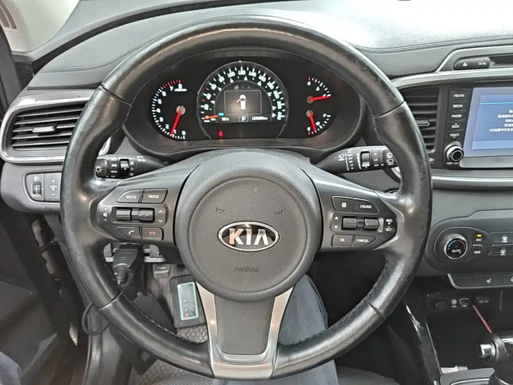 Kia Sorento 2016 — фото 11