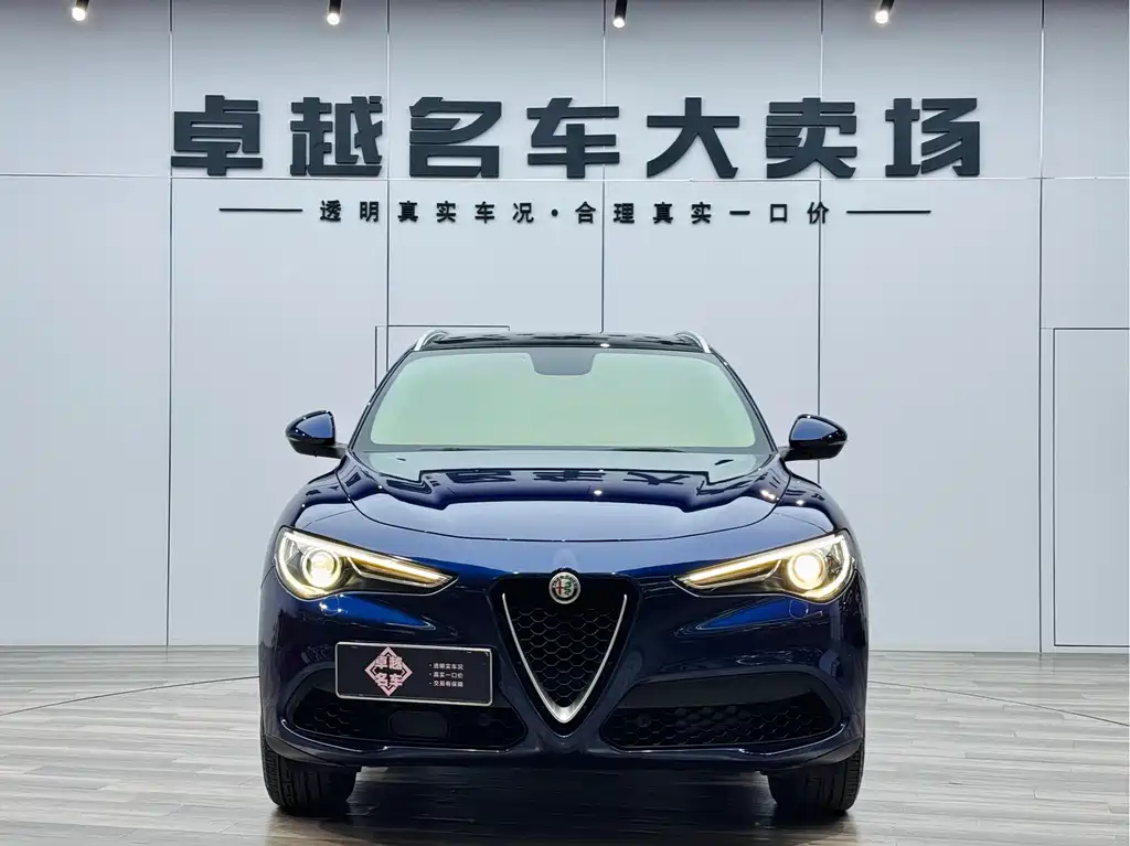 Alfa Romeo Stelvio 2019 — фото 2