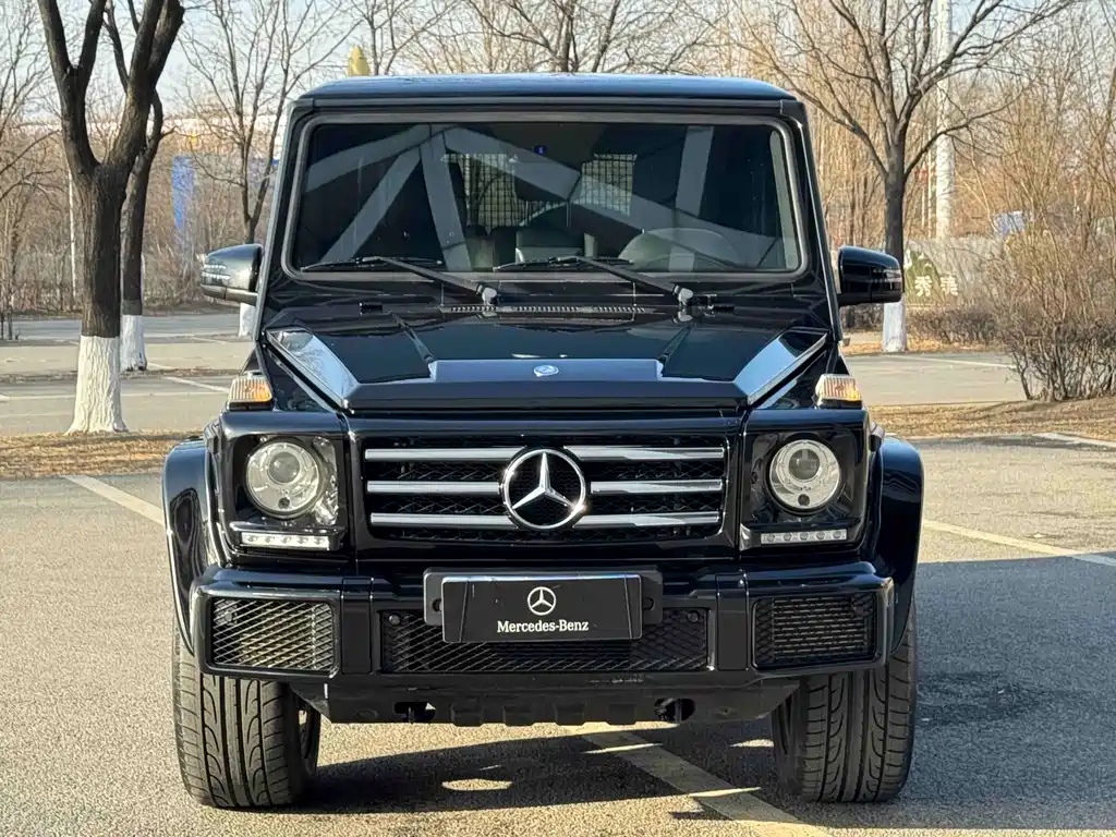 Mercedes-Benz G-Class 2018 — фото 1