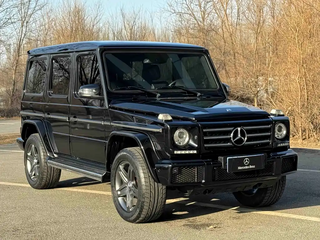 Mercedes-Benz G-Class 2018 — фото 2