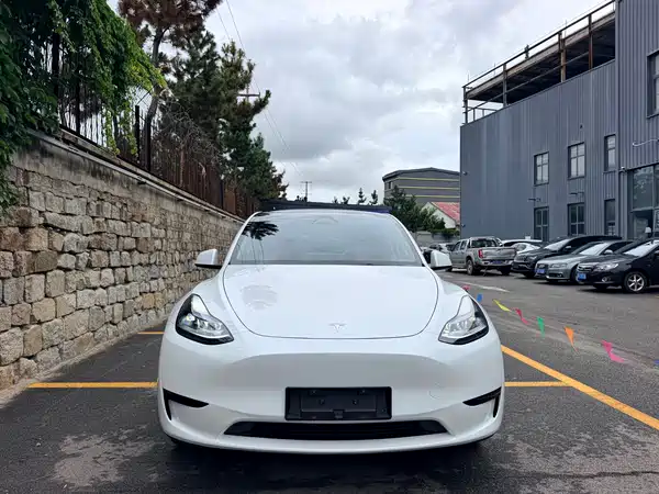 Tesla Model Y 2024