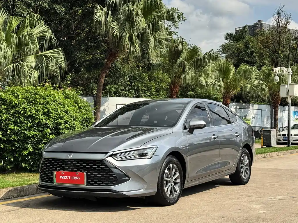 BYD Qin PLUS 2024 — фото 1
