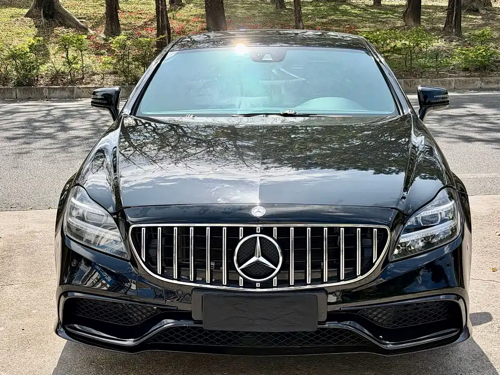 Mercedes-Benz CLS 2014 — фото 2